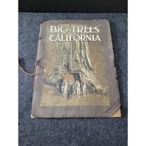 Antique Mariposa Grove of Big Trees California Book